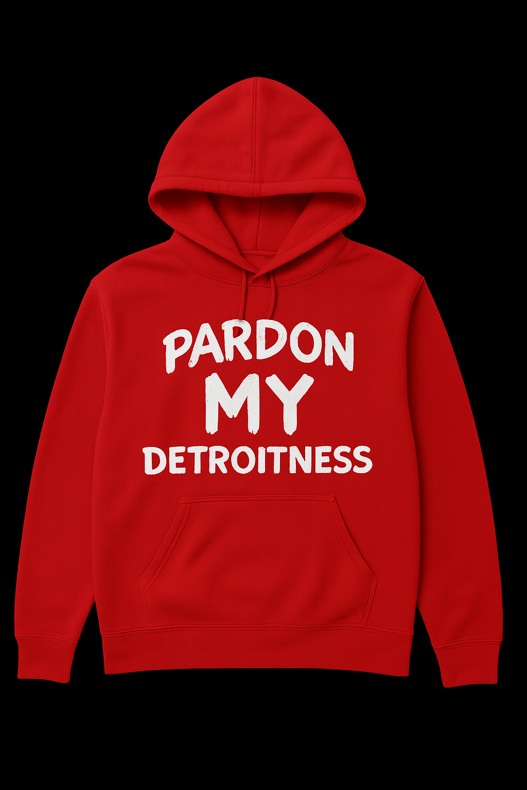 Pardon My Detroitness Hoodie