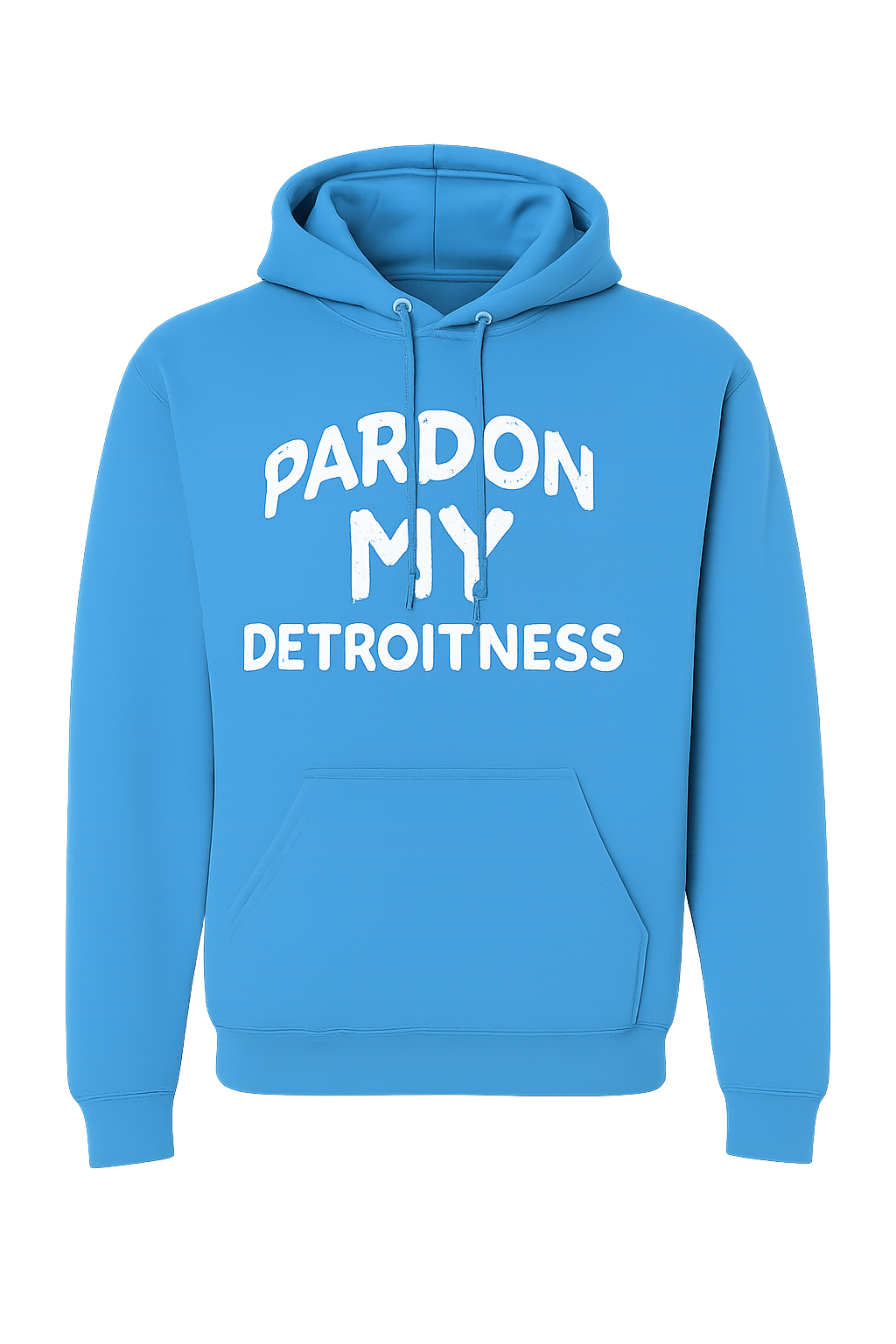 Pardon My Detroitness Hoodie
